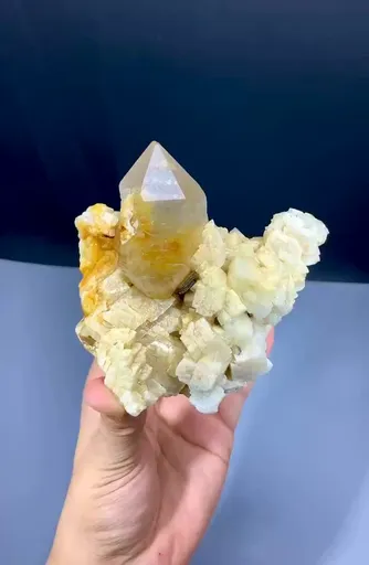 specimen video