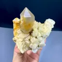 specimen video
