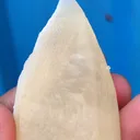 Yellow Terminal Calcite - image 5