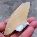 Yellow Terminal  Calcite with Okenite - image 5