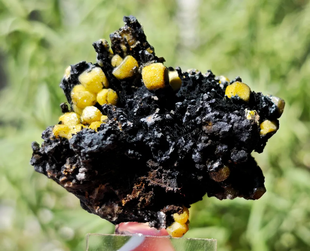Yellow Vanadinite on Goethite from Taouz, Morocco. Aesthetic rarity specimen - image 3