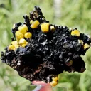 Yellow Vanadinite on Goethite from Taouz, Morocco. Aesthetic rarity specimen - image 3