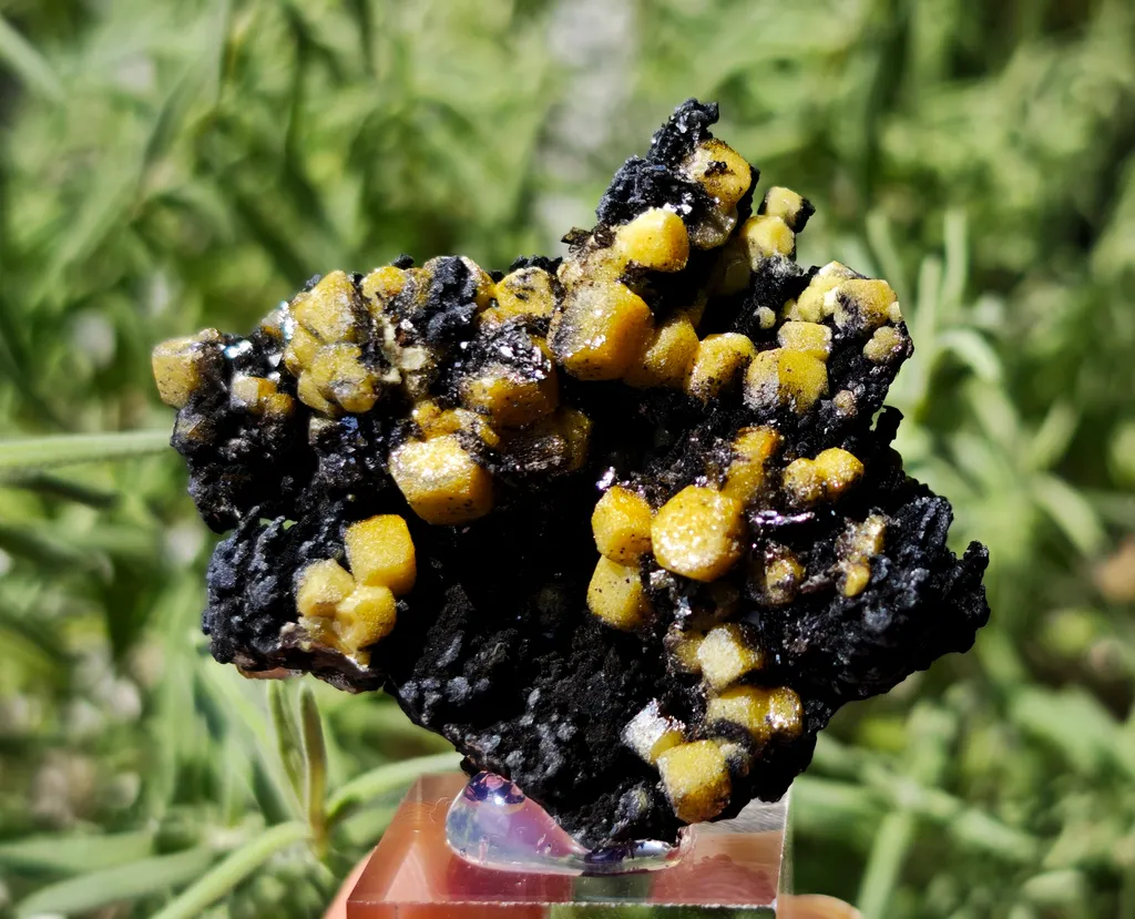 Yellow Vanadinite on Goethite from Taouz, Morocco. Aesthetic rarity specimen image