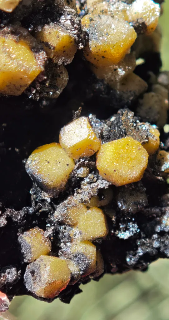 Yellow Vanadinite on Goethite from Taouz, Morocco. Aesthetic rarity specimen - image 6