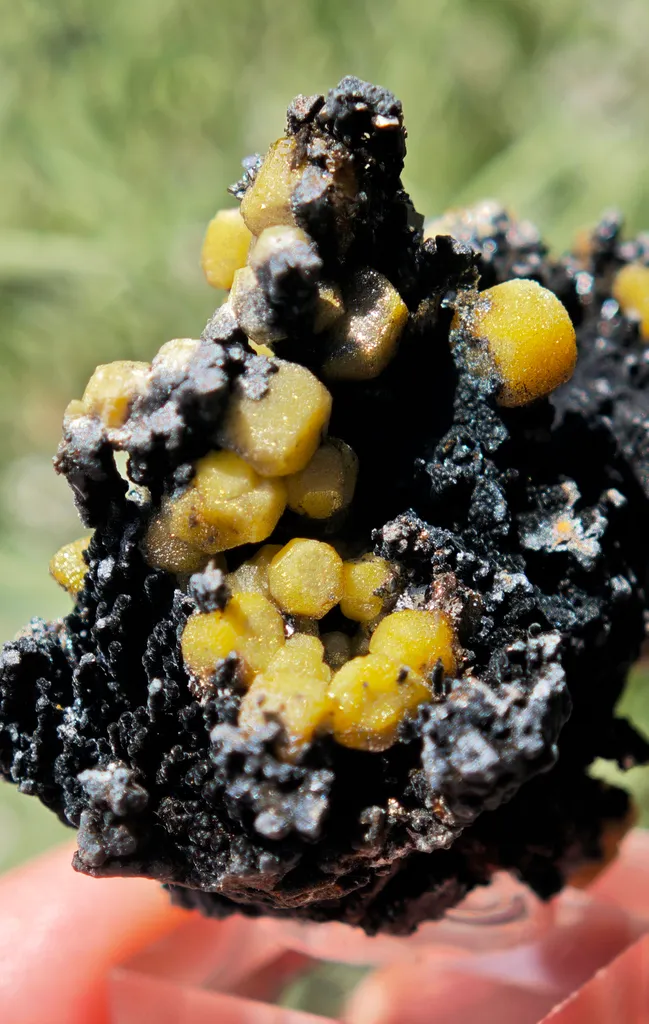 Yellow Vanadinite on Goethite from Taouz, Morocco. Aesthetic rarity specimen - image 5