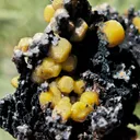 Yellow Vanadinite on Goethite from Taouz, Morocco. Aesthetic rarity specimen - image 5