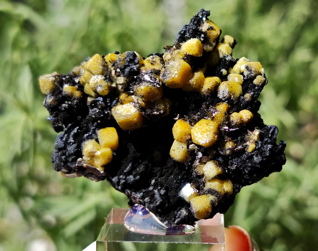 Yellow Vanadinite on Goethite from Taouz, Morocco. Aesthetic rarity specimen - image 4