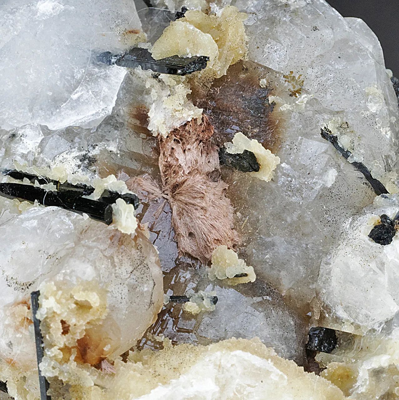 Yofortierite with Analcime - image 1