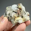 Yofortierite with Analcime - image 2