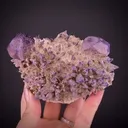 Yttrofluorite on Calcite - image 1