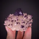 Yttrofluorite on Calcite - image 1