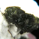 Zanazziite, Eosphorite, Quartz (Var: Rose Quartz) - image 2