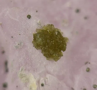 Zanazziite, Quartz (Var: Rose Quartz) - image 2