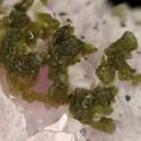 Zanazziite, Quartz (Var: Rose Quartz) - image 2
