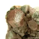 Zektzerite - image 1