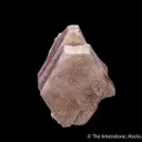 Zektzerite - image 4