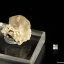 Zektzerite (rough and cut set) - image 1