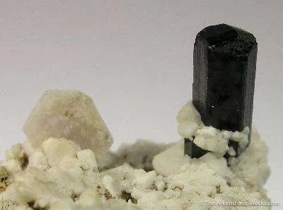 Zektzerite (Tl) & Arfvedsonite on Feldspar - image 2