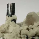 Zektzerite (Tl) & Arfvedsonite on Feldspar - image 3