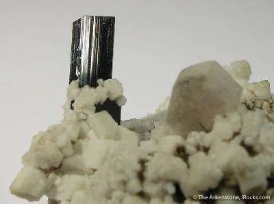 Zektzerite (Tl) & Arfvedsonite on Feldspar - image 3