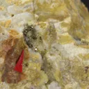 Zemannite (type locality) with Cuzticite, Tellurite, and Quartz - image 1