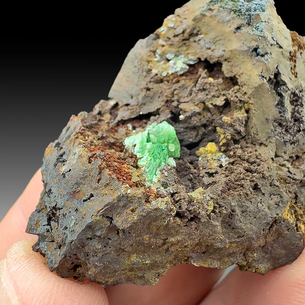 Zeunerite from Ojuela Mine, Mapimí, Durango, Mexico image