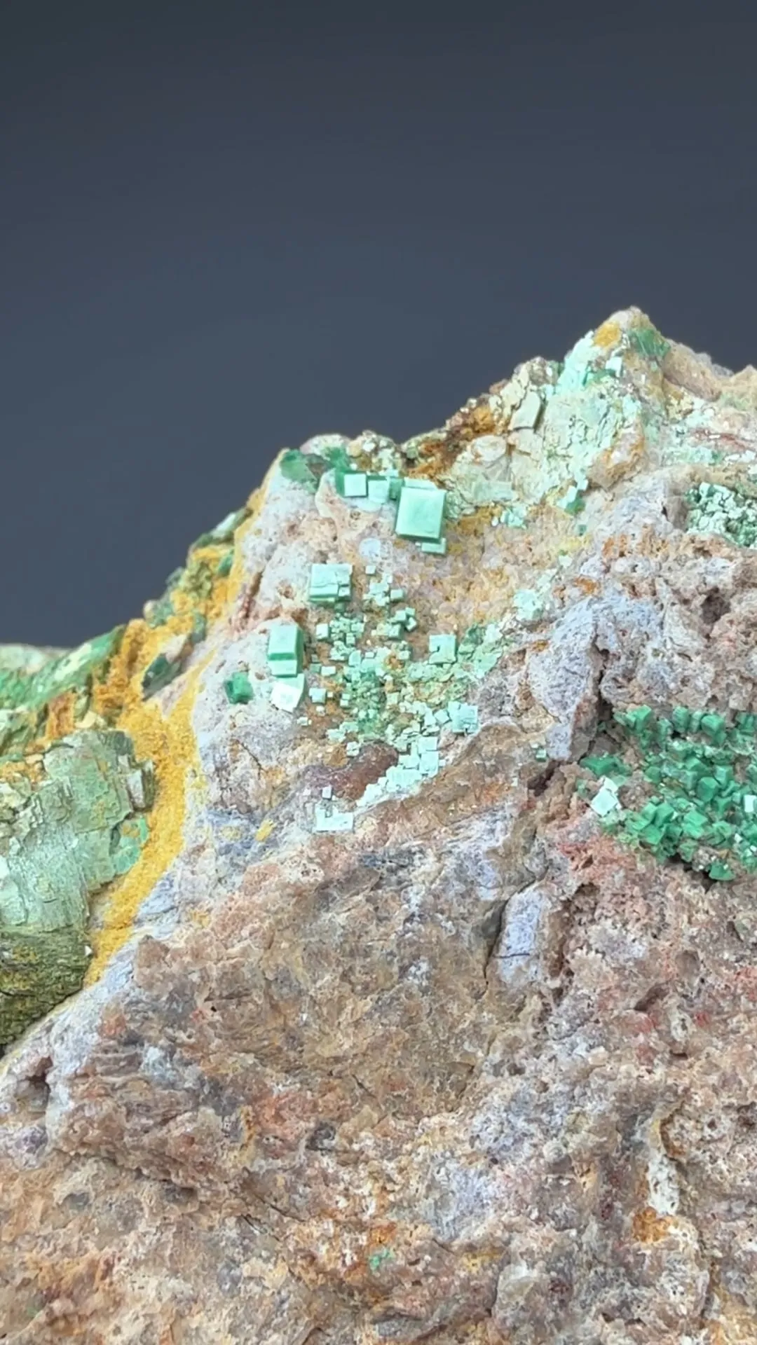 Zeunerite with Uranospinite - image 2