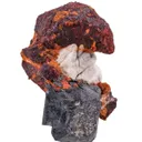 Zincite With Franklinite - image 1