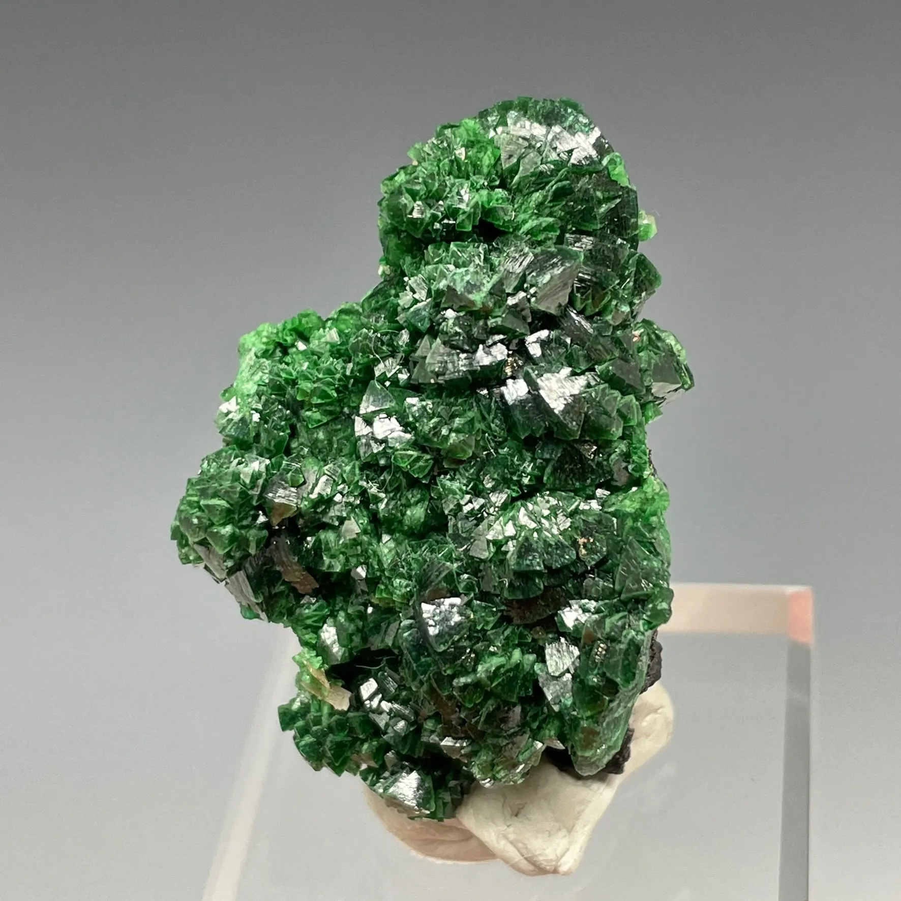 Zincolivenite - image 2