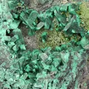 Zincolivenite - image 1