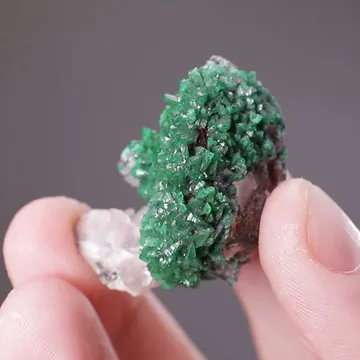 Zincolivenite