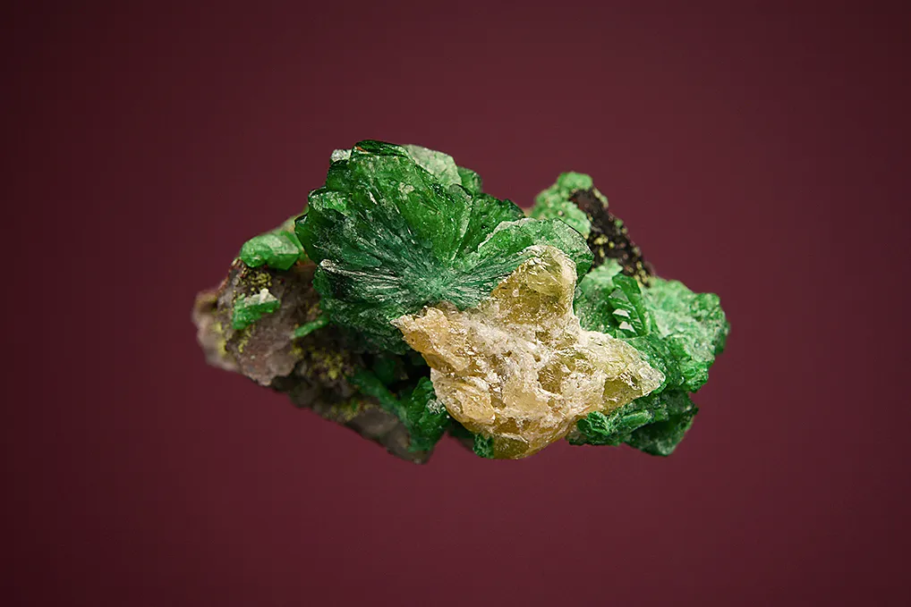 Zincolivenite - image 4
