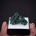 Zincolivenite - image 2