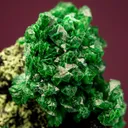 Zincolivenite - image 2