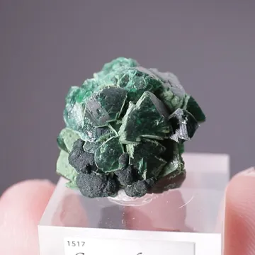 Zincolivenite