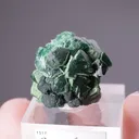 Zincolivenite - image 2