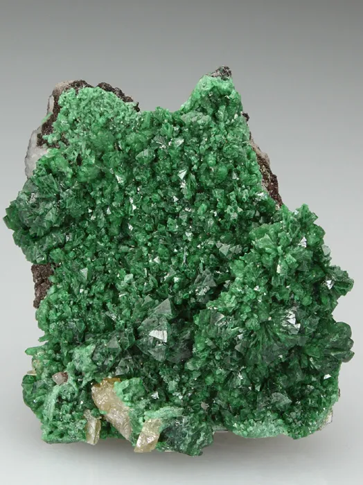 Zincolivenite CUPRIAN Adamite - image 1
