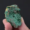 Zincolivenite - image 2