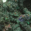 Zincolivenite from Greece, Attica, Christiana Mine - image 4