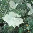 Zincolivenite from Greece, Attica, Christiana Mine - image 2