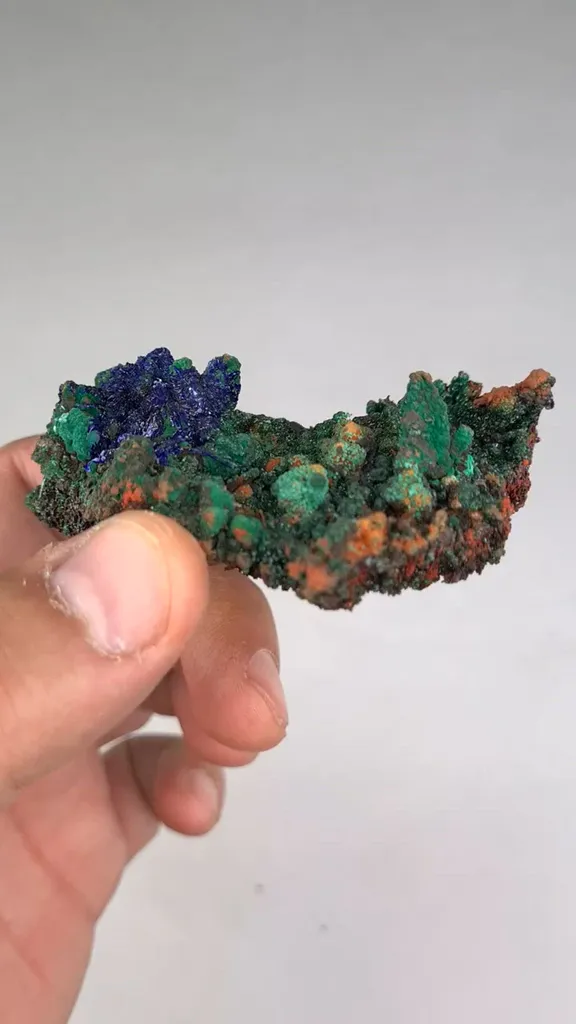 specimen video