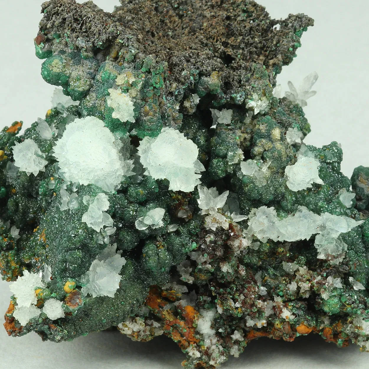 Zincolivenite from Greece, Attica, Christiana Mine - image 1
