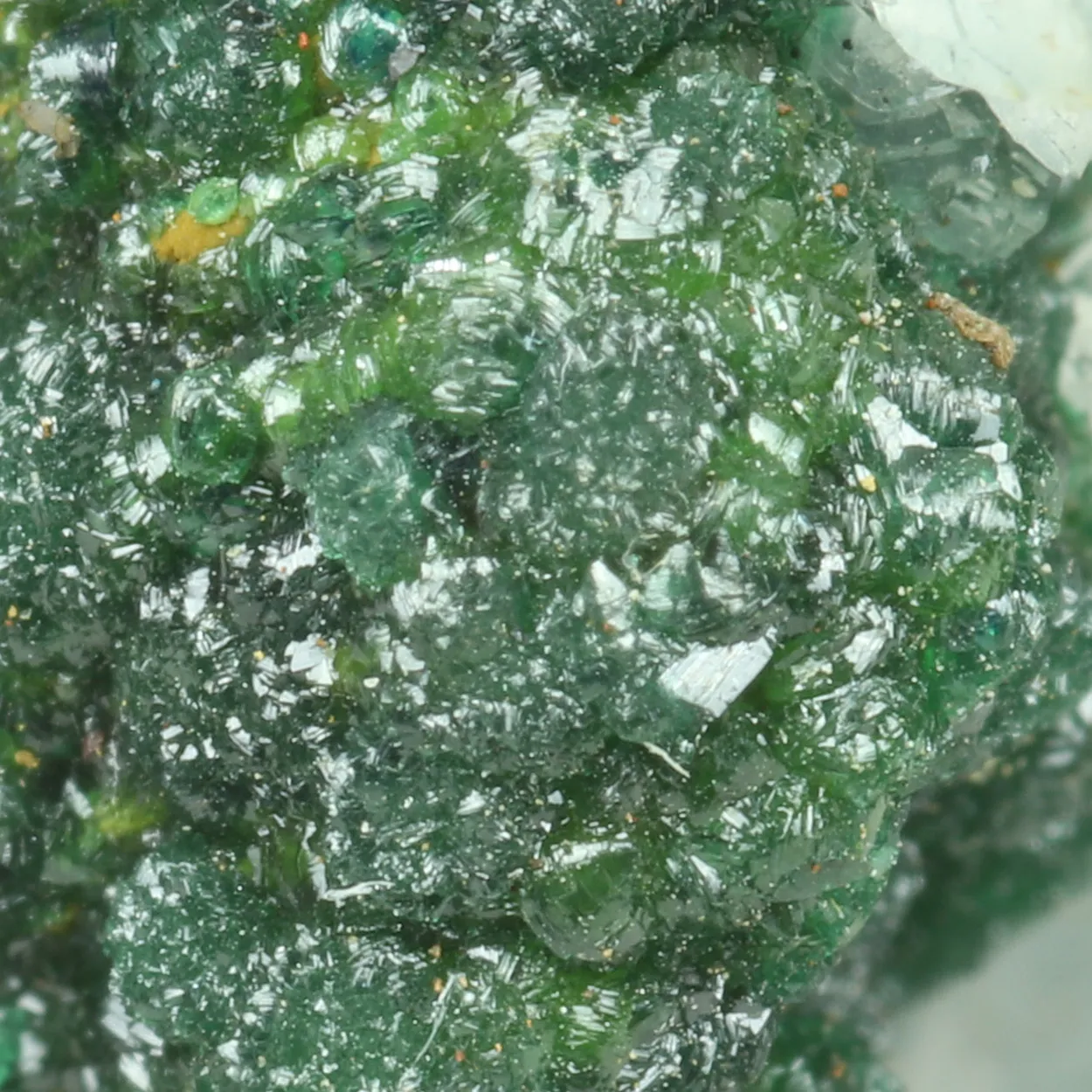 Zincolivenite from Greece, Attica, Christiana Mine - image 3