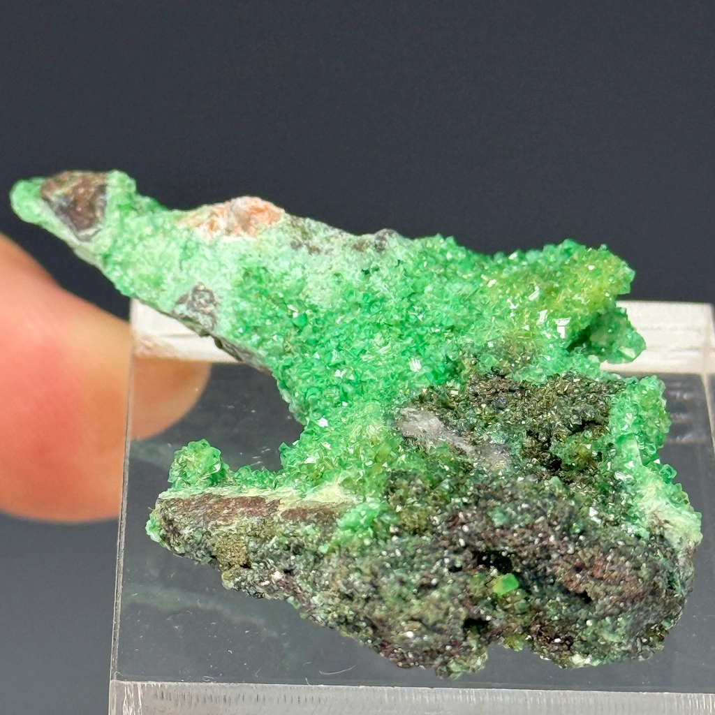 Zincolivenite from Tsumeb, Oshikoto Region, Namibia - image 2