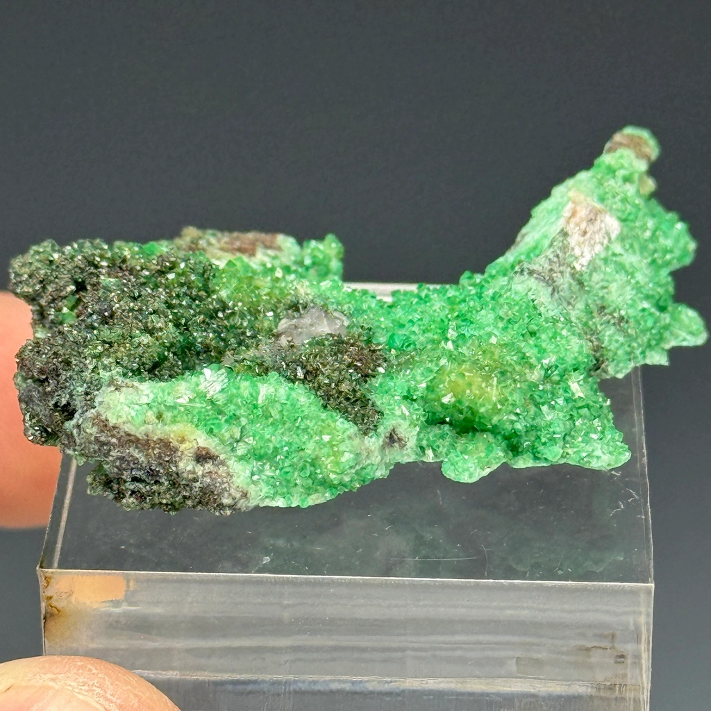 Zincolivenite from Tsumeb, Oshikoto Region, Namibia - image 1