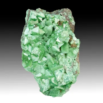 Zincolivenite from Tsumeb, Oshikoto Region, Namibia