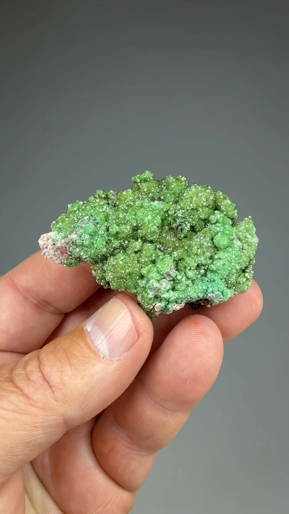 Zincolivenite from Tsumeb, Oshikoto Region, Namibia - image 2