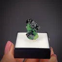 Zincolivenite on Arsentsumebite (TL) - image 2