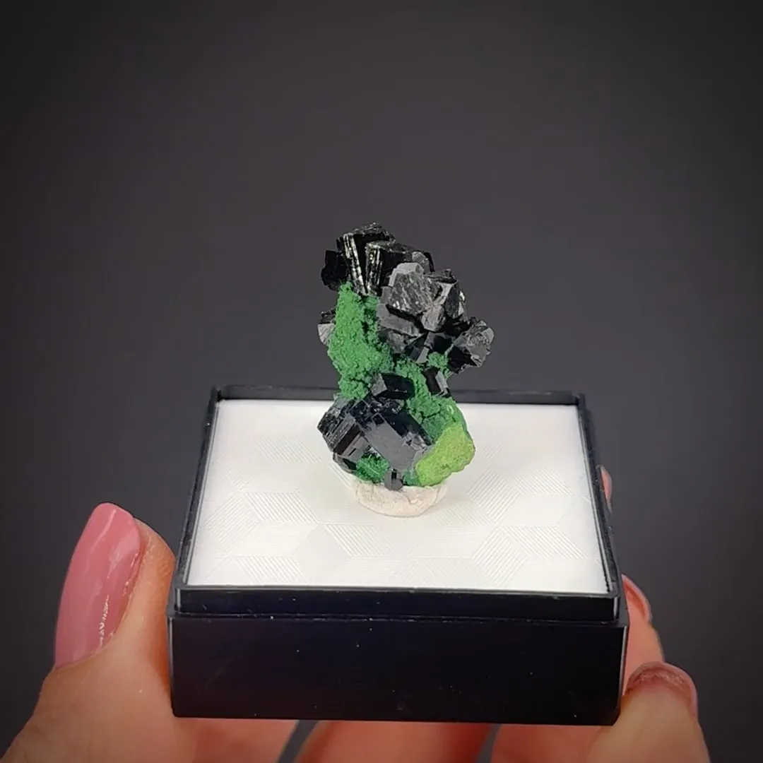 Zincolivenite on Arsentsumebite (TL) - image 2