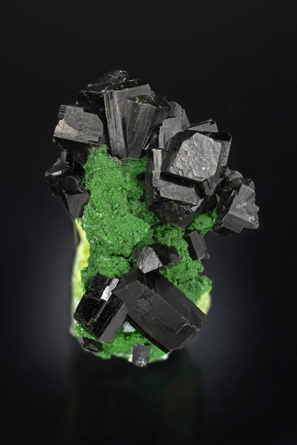 Zincolivenite on Arsentsumebite (TL) - image 4